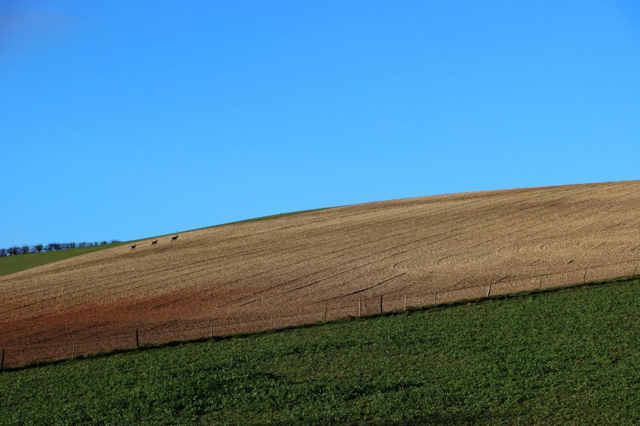 Crossways Self-Catering Cottage - Self Contained East Ravendale エクステリア 写真