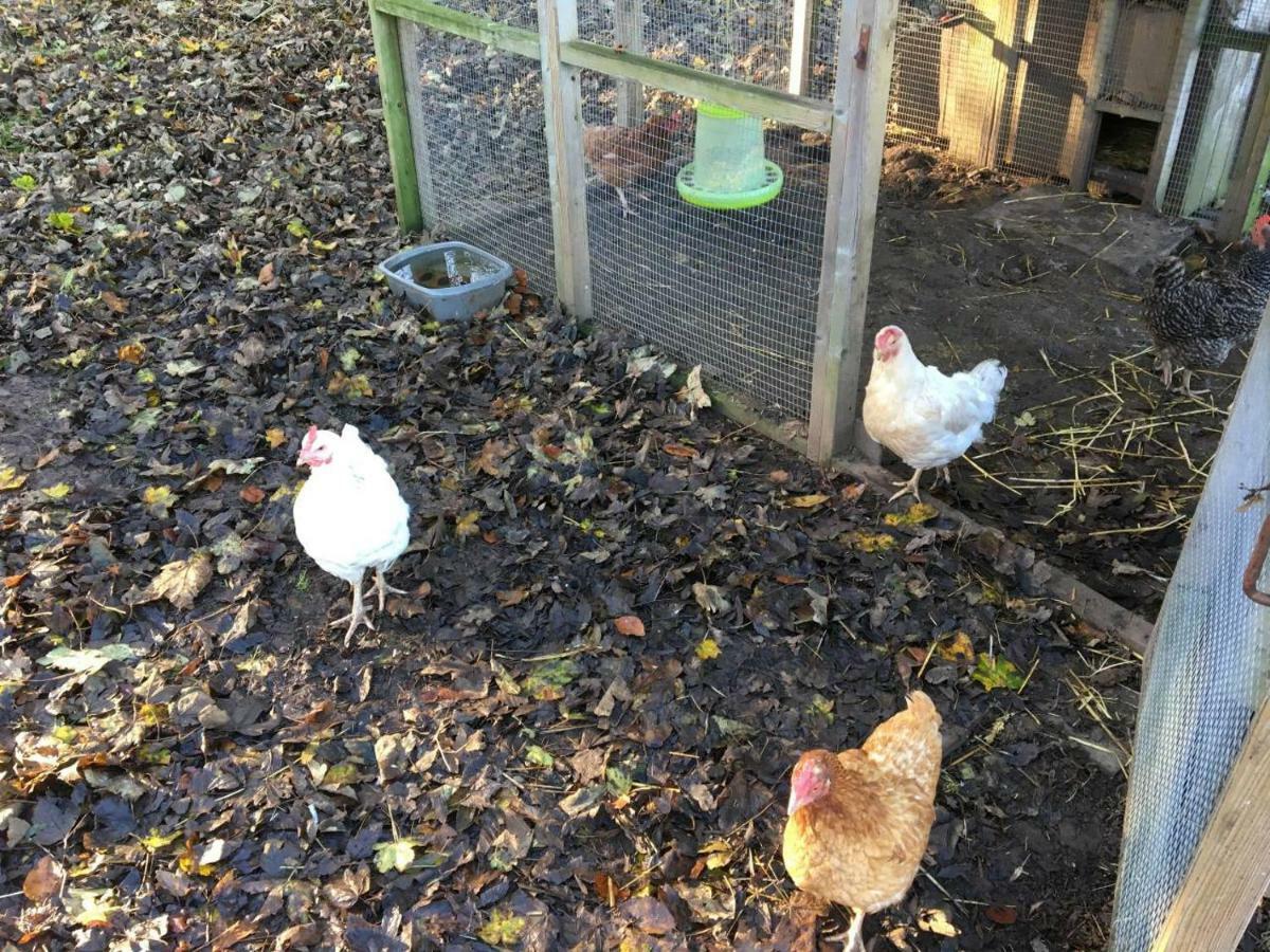 Crossways Self-Catering Cottage - Self Contained East Ravendale エクステリア 写真